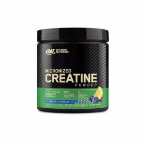 Optimum Nutrition Micronized Creatine Powder Blueberry Lemonade 0.79 lb (60 Servings) Slovenija | RFL-145083